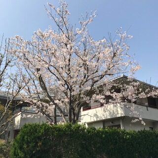 七里ガ浜東3丁目テラス